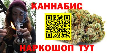крисы Кулебаки