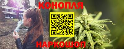 крисы Кулебаки