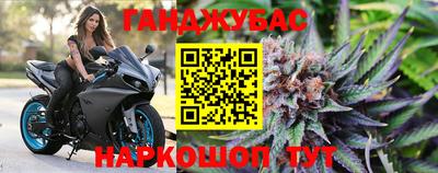 крисы Кулебаки