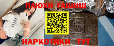крисы Кулебаки