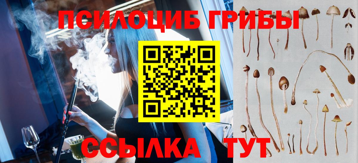 даркнет сайт  Вход с VPN  Туймазы  Галлюциногенные грибы Cubensis 