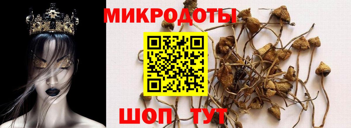 Галлюциногенные грибы Magic Shrooms Туймазы